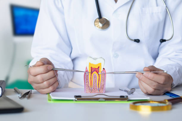 Best Emergency Treatment for Toothache in Easton, PA